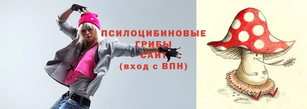 прущая мука Каменка