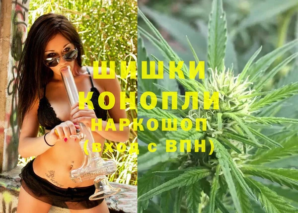 прущая мука Каменка