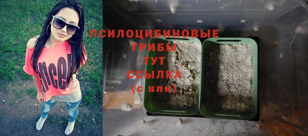 амф Каменногорск