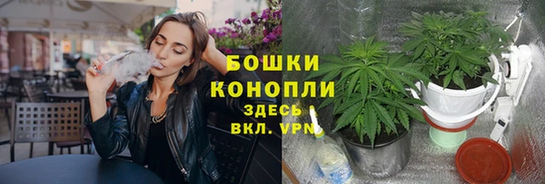 амф Каменногорск