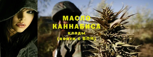 амф Каменногорск