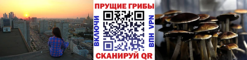 Купить закладки  Великие Луки  Галлюциногенные грибы прущие грибы 