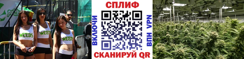 Купить  Великие Луки  Шишки марихуана план 